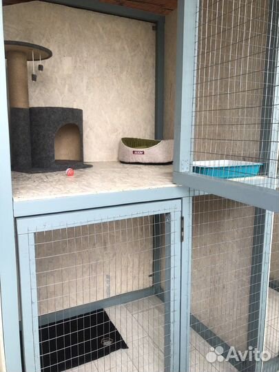 Зоогостиница, передержка животных