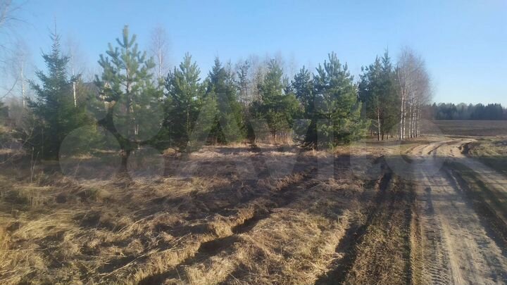 Участок 15 сот. (ИЖС)