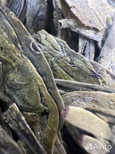 Чай китайский зеленый Си Ху Лун Цзинь 2023 год