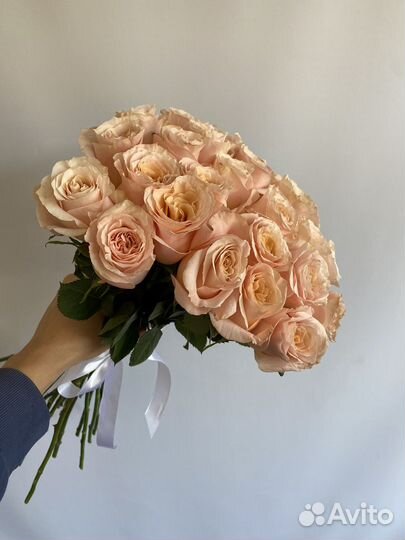 Розы Шиммер