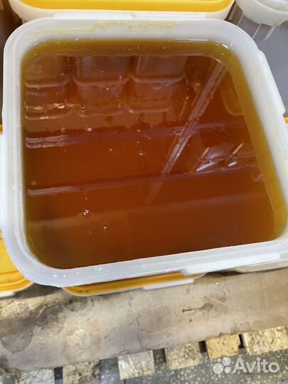 Свежий мёд натуральный опт