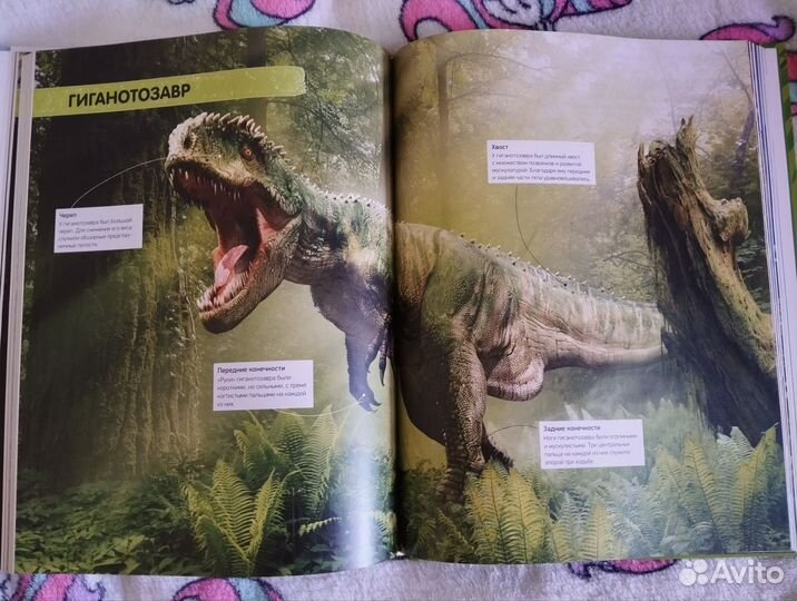 Энциклопедия всё о динозаврах Махаон