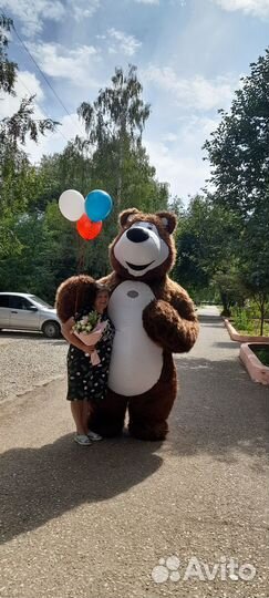 Добрый мишка аниматор