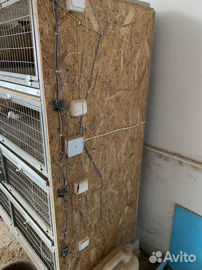 Брудер для цыплят самодельный б/у