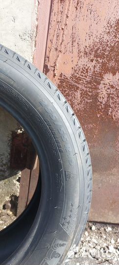 Michelin Latitude X-Ice 2 255/55 R19