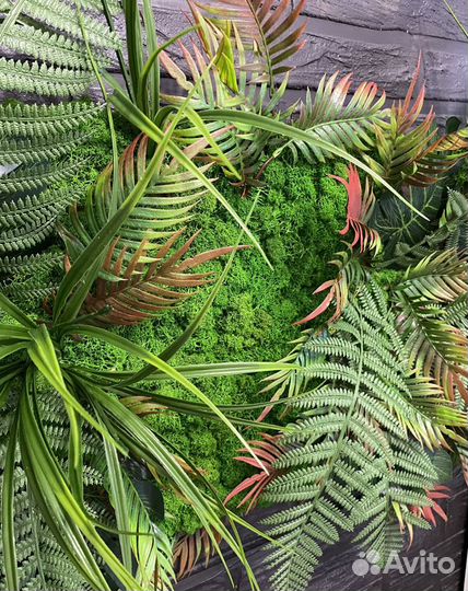 Фитостена, панно из мха и искусственных растений