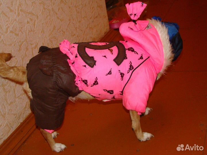 Зимний комбез для собачек маленьких пород