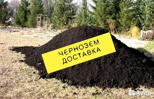 Чернозем рассыпчатый для огорода
