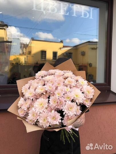 Кустовые хризантемы, стойкость от 2 недель