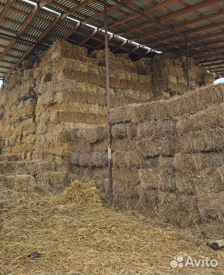 Сено и солома