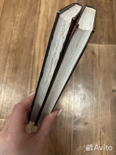 Коты воители Миссия огнезвезда 2 книги