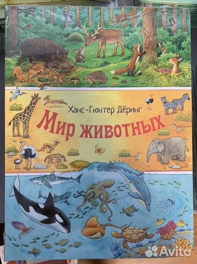 Энас детские книги новые