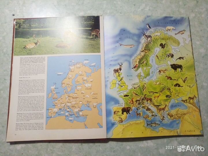 Книга