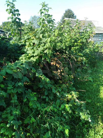 Дом 53,6 м² на участке 8 сот.