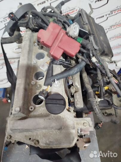 Двигатель toyota subaru 1NZ-FE. sienta succeed trezia vitz yaris. NZE144G NZE151H NZE151N NZE154H NZ