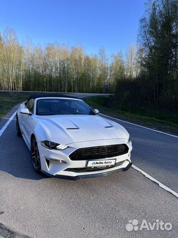 Ford Mustang 2.3 AT, 2017, 61 500 км с пробегом, цена 2850000 руб.