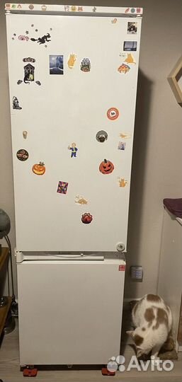 Холодильник hotpoint Ariston бу