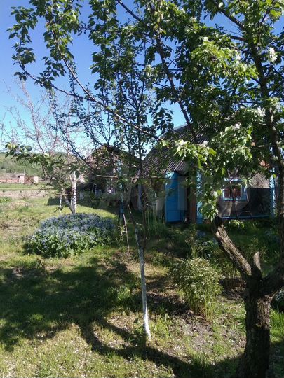 Дом 45 м² на участке 15 сот.