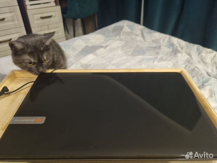 Ноутбук Packard Bell