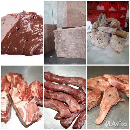 Продам мясо, фарш, кости для собак с доставкой