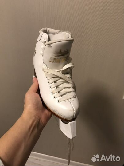 Коньки royal skate