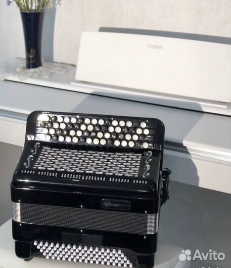 Баян Юпитер 2Д Инструмент для маленького Артиста