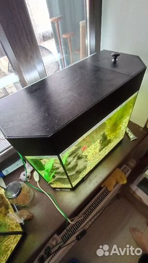 Аквариум с рыбой, полный комплект