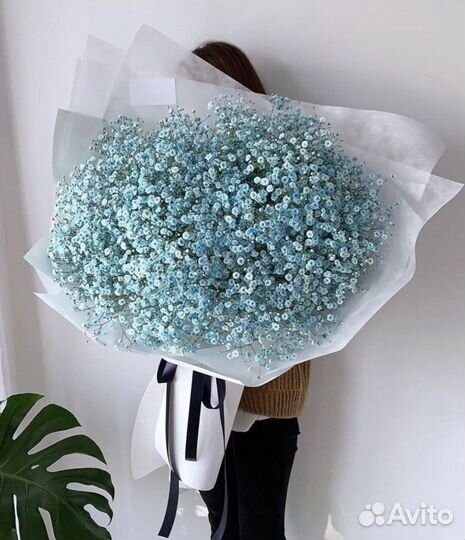 Гипсофила, букет гигант из гипсофил, доставка