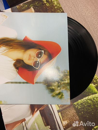 Виниловая пластинка