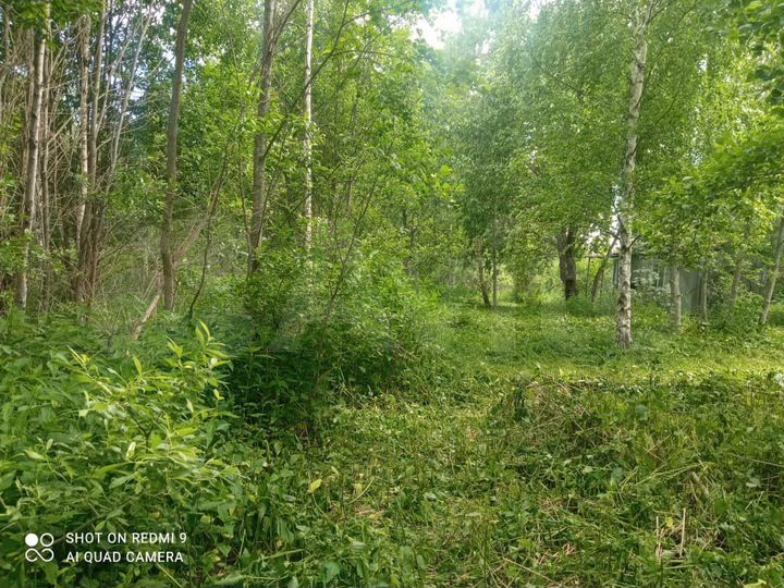 Участок 12 сот. (ИЖС)