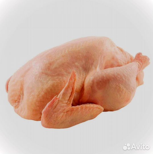 Мясо курицы