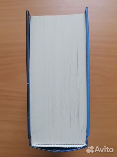 Хеску. Кровь дома Базаард. Дина Шинигамова