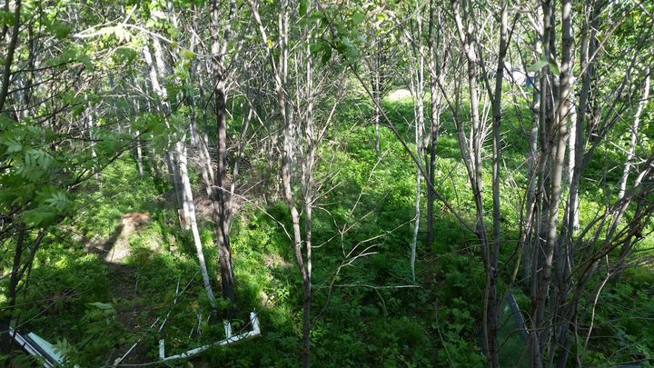 Участок 10,1 сот. (СНТ, ДНП)