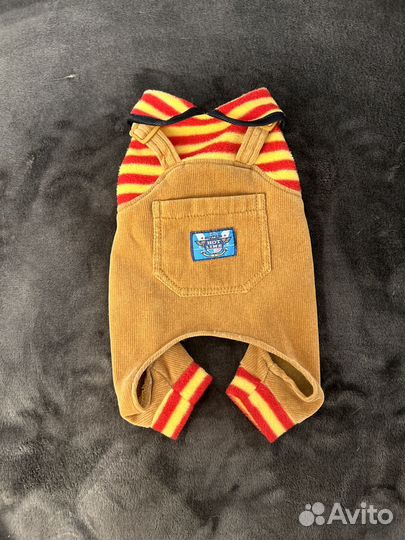 Одежда для маленьких собак