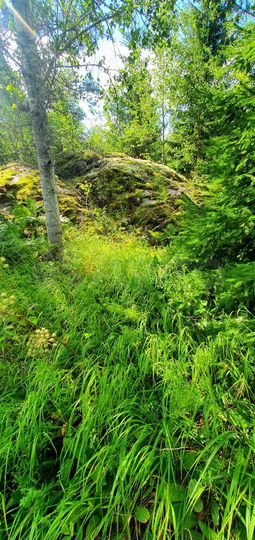 Участок 8 сот. (СНТ, ДНП)