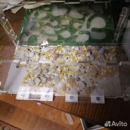 Формикарий бу