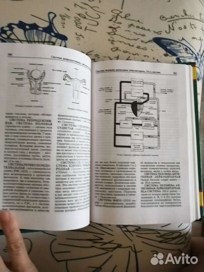 Большой толковый медицинский словарь