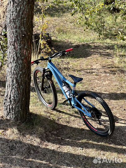 Specialized Stumpjumper Men Expert 29