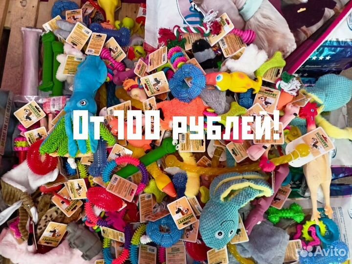 Игрушки для собак