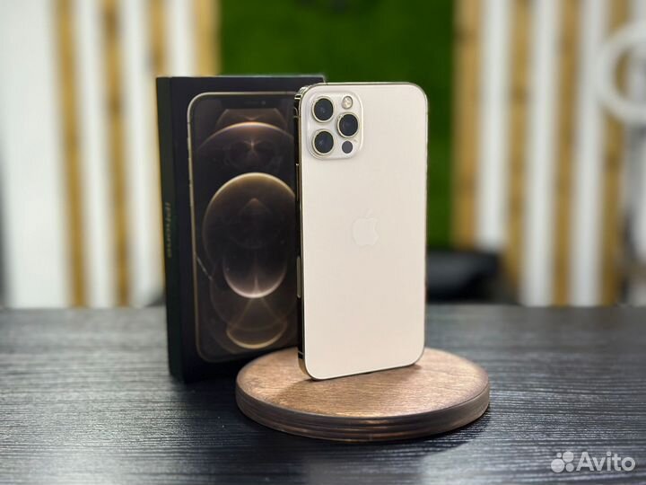 iPhone 12 Pro Max, 256 ГБ