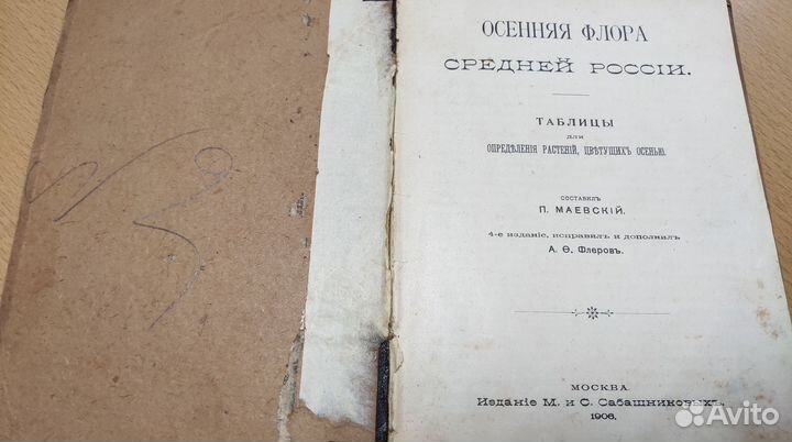 Весенняя и осенняя флора средней россии