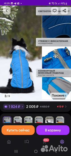 Жилет и миска для собаки