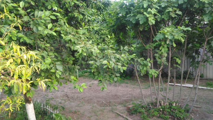 Дом 83,8 м² на участке 2 сот.