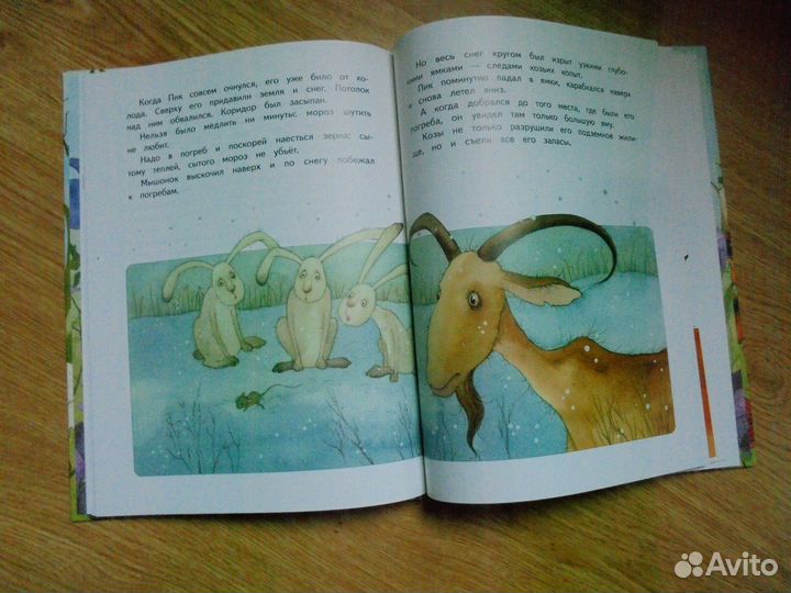 Виталий Бианки Мышонок Пик рис. В.Кирдий речь 2020