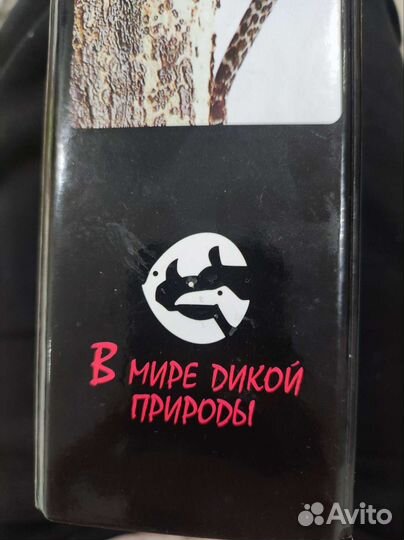 В мире дикой природы