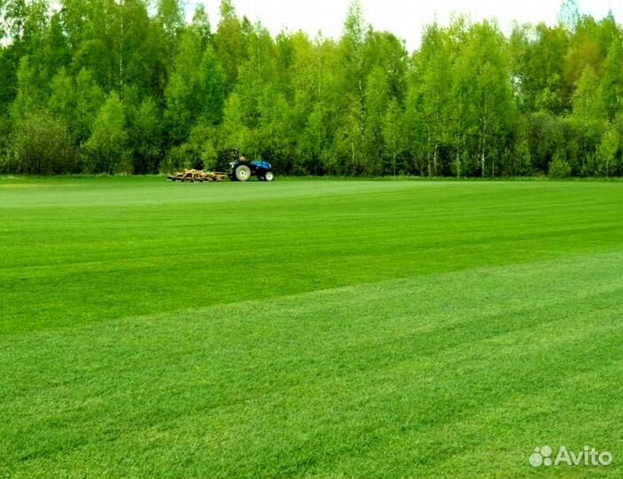 Рулонный газон