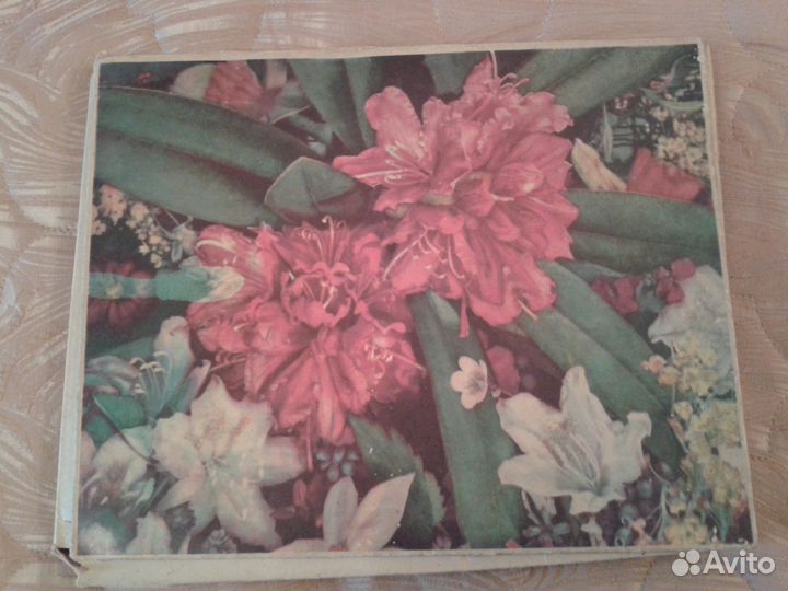 Набор спичек Ботанический сад ан СССР