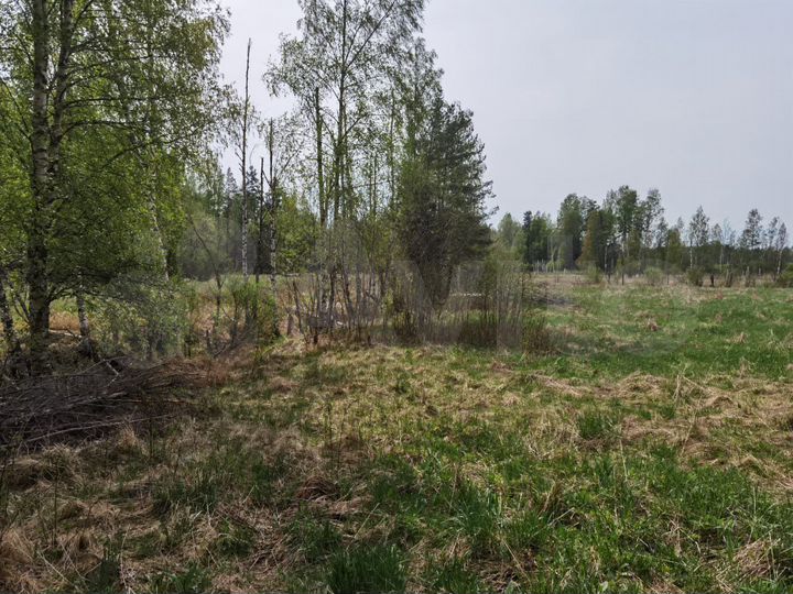 Участок 1,1 га (СНТ, ДНП)