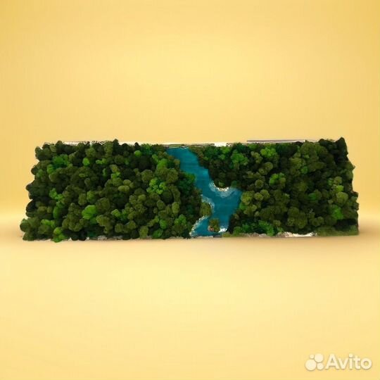 Картина из стабилизированного мха