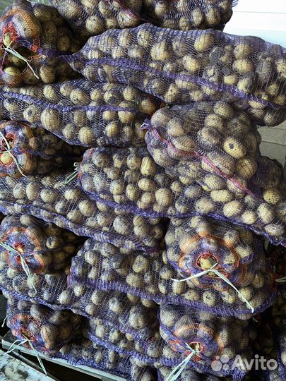 Овощи оптом/розница доставка для хранения